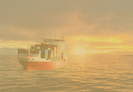 International and Domestic Container Shipping