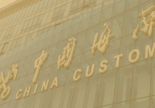 Professional Custom Declaration  Services